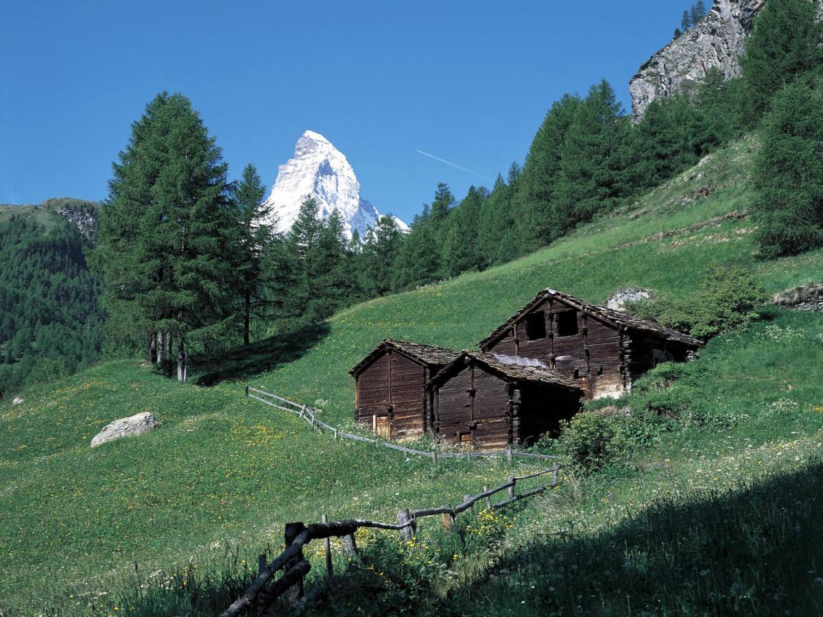 Apartment By Interhome Zermatt Ngoại thất bức ảnh